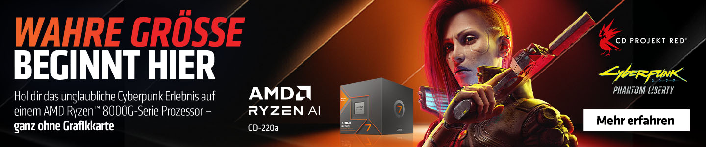 AMD Ryzen 8000G-Serie
